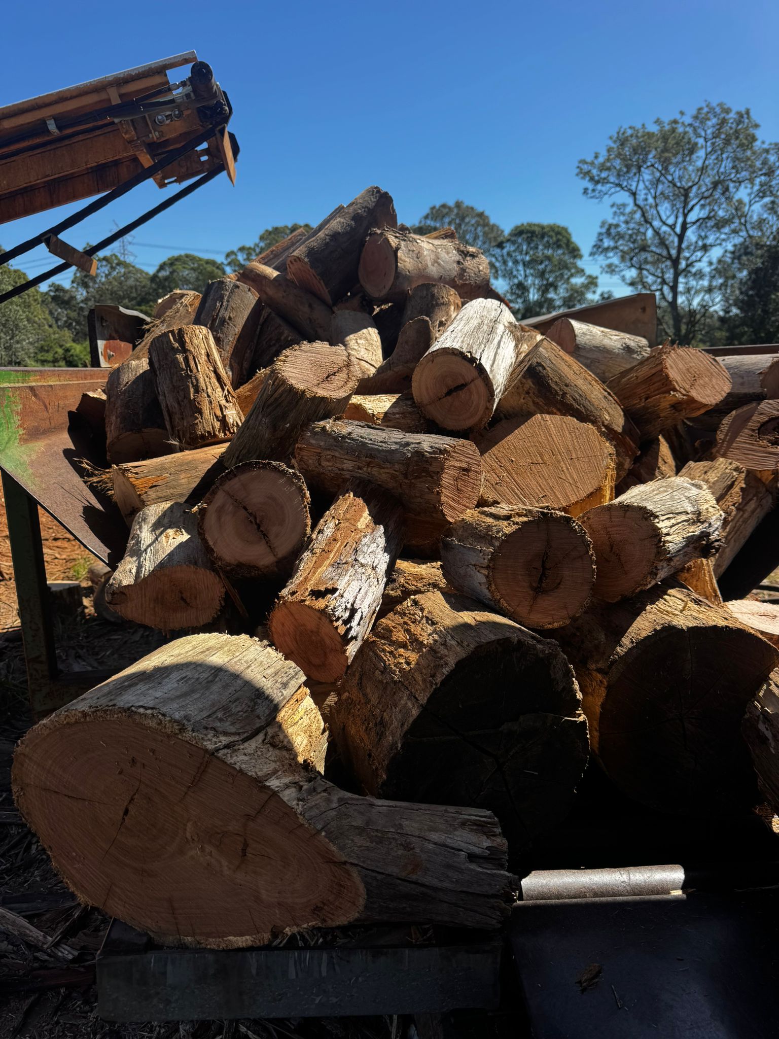 Firewood 16