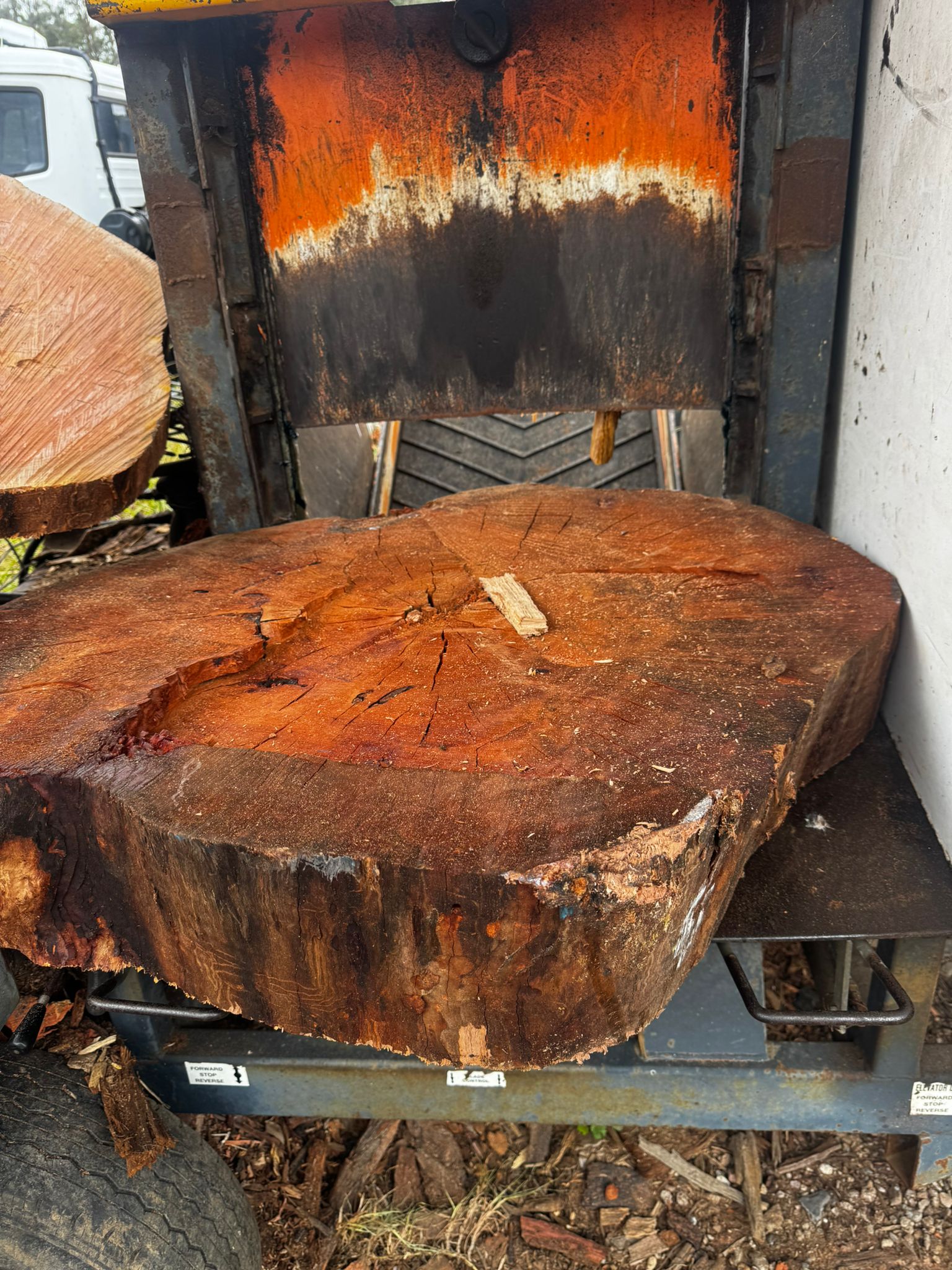 Firewood 19
