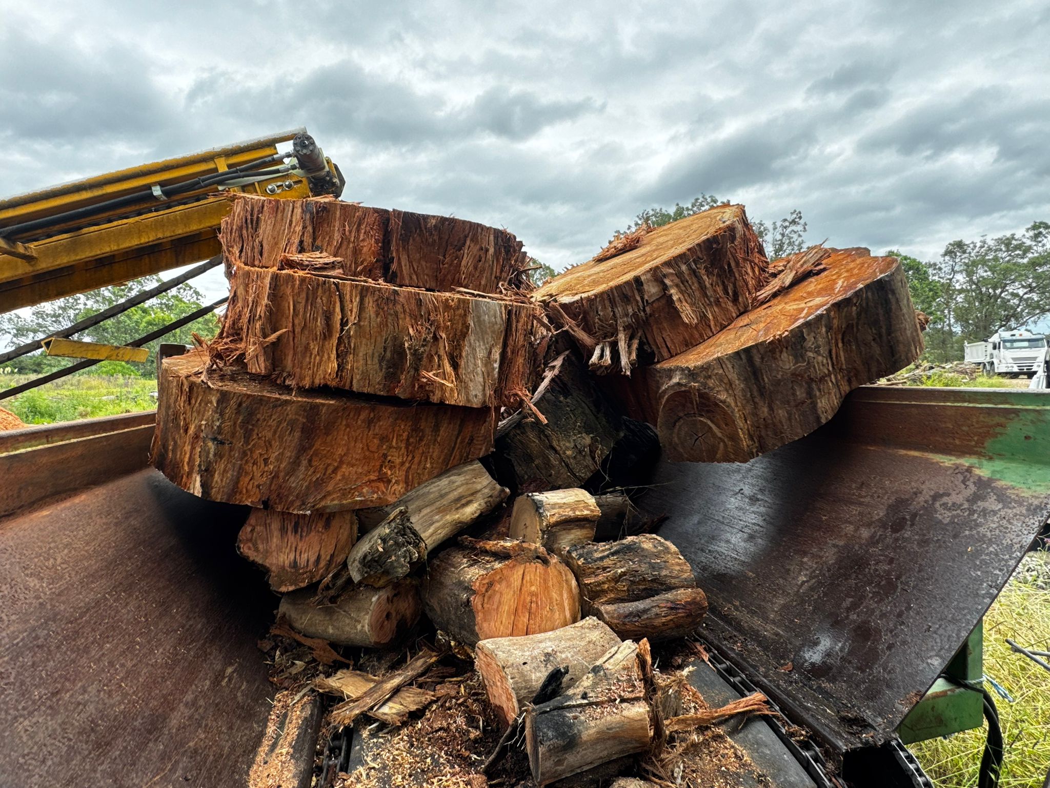 Firewood 20