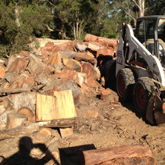 Buy your Firewood